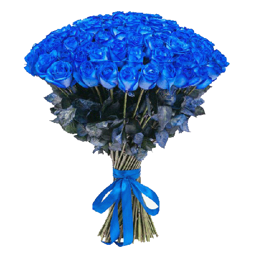 Фото товара 101 синяя роза (крашеная) в Мариуполе
