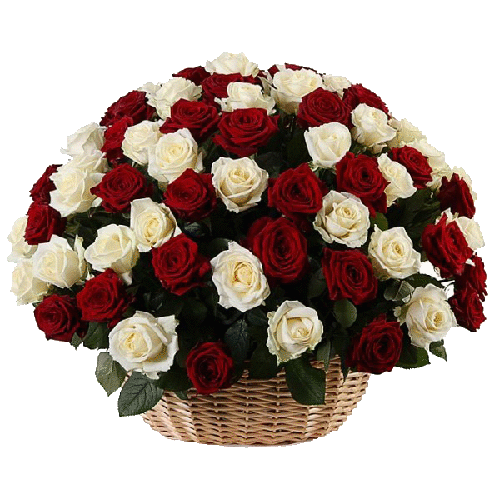 Фото товара 101 красно-белая роза в корзине в Мариуполе