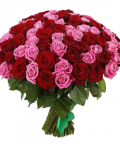 Фото товара 101 красно-розовая роза в Мариуполе