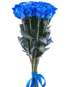 Фото товара 11 синих роз в Мариуполе