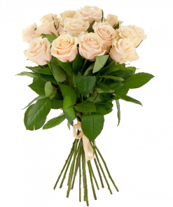 Фото товара 15 кремовых роз в Мариуполе