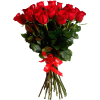 Фото товара 21 импортная красная роза в Мариуполе