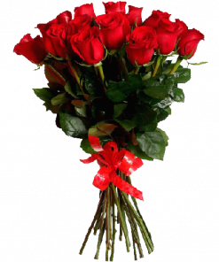 Фото товара 21 импортная красная роза в Мариуполе