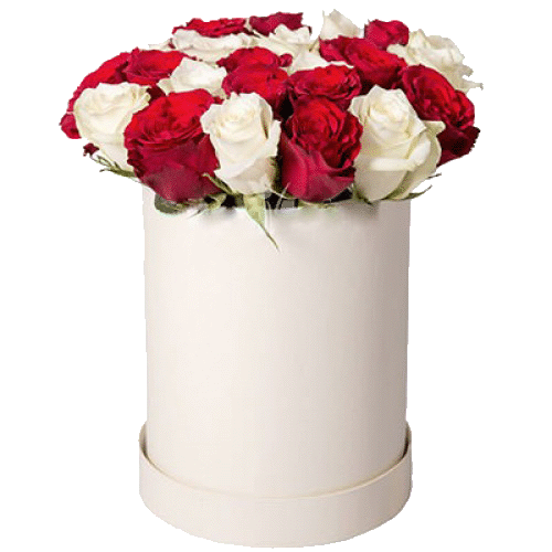 Фото товара 21 красно-белая роза в шляпной коробке в Мариуполе