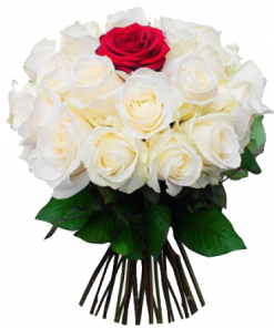 Фото товара Букет "Тебе одной" (20 белых и 1 красная роза) в Мариуполе