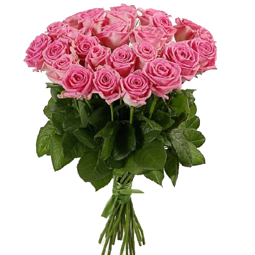 Фото товара 25 роз "Аква" в Мариуполе