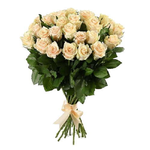 Фото товара 25 кремовых роз в Мариуполе