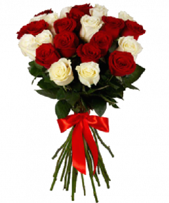 Фото товара 25 красно-белых роз в Мариуполе