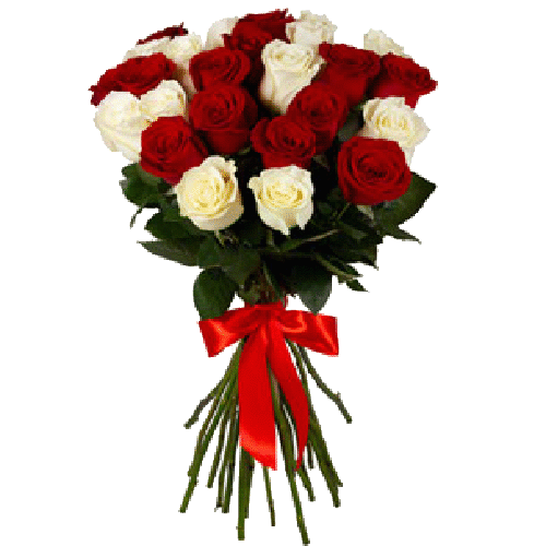 Фото товара 25 красно-белых роз в Мариуполе