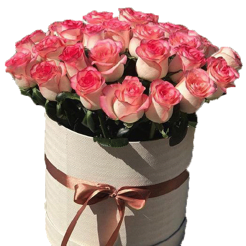 Фото товара 33 розовые розы в шляпной коробке в Мариуполе