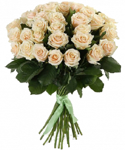 Фото товара 33 кремовые розы в Мариуполе