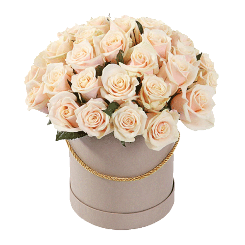 Фото товара 33 кремовые розы в шляпной коробке в Мариуполе