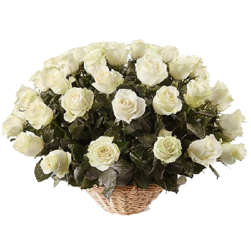 Фото товара 51 белая роза в корзине в Мариуполе