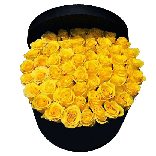 Фото товара 51 желтая роза в шляпной коробке в Мариуполе