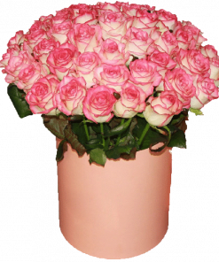 Фото товара 51 роза "Джумилия" в шляпной коробке в Мариуполе
