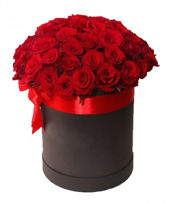 Фото товара 51 красная роза в шляпной коробке в Мариуполе