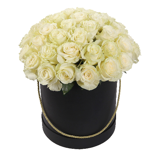 Фото товара 51 белая роза в шляпной коробке в Мариуполе