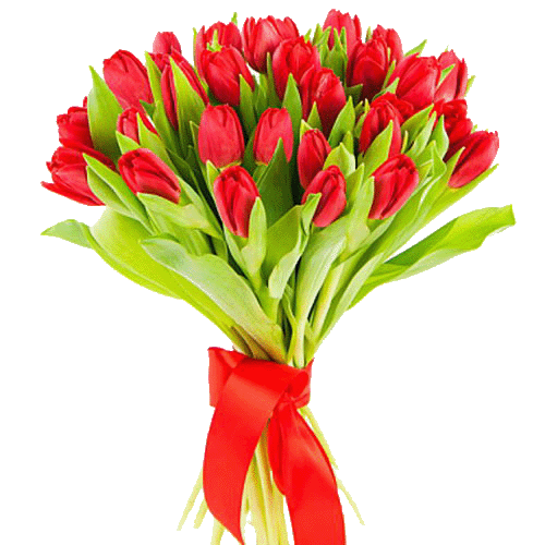 Фото товара 25 красных тюльпанов в Мариуполе