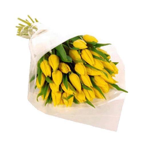 Фото товара 25 желтых тюльпанов в Мариуполе
