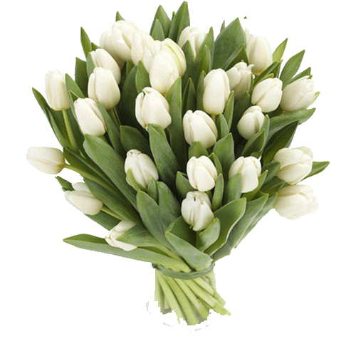 Фото товара 25 белых тюльпанов в Мариуполе
