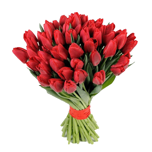 Фото товара 49 красных тюльпанов в Мариуполе