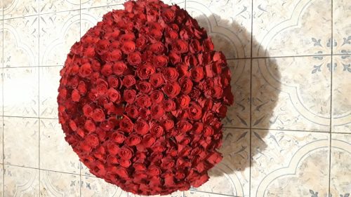 201 красная роза в Мариуполе фото