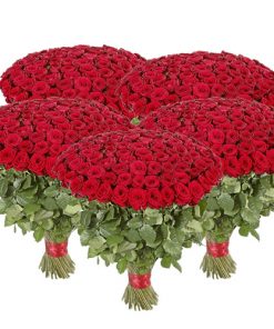 Фото товара 501 красная роза в Мариуполе