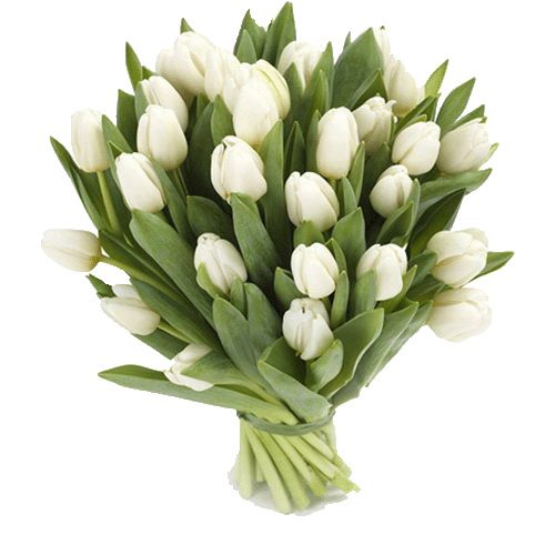 Фото товара 25 белых тюльпанов в Мариуполе
