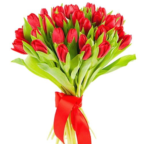 Фото товара 25 красных тюльпанов в Мариуполе