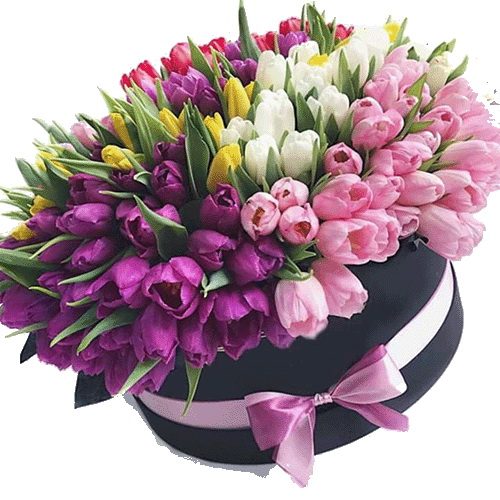 Фото товара 151 тюльпан в шляпной коробке в Мариуполе