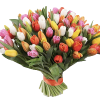 Фото товара 99 разноцветных тюльпанов в Мариуполе