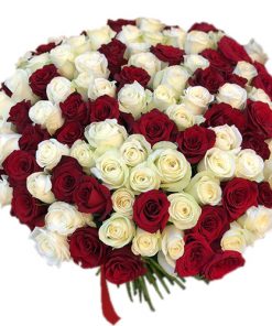 Фото товара 101 красно-белая роза в Мариуполе