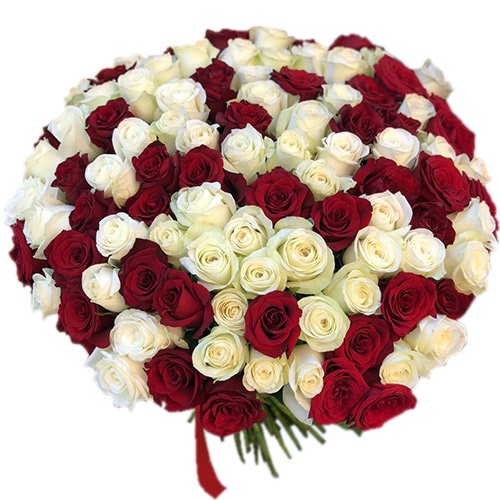 Фото товара 101 красно-белая роза в Мариуполе