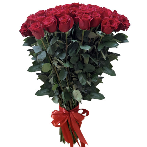 Фото товара 51 роза "Фридом" метровая в Мариуполе