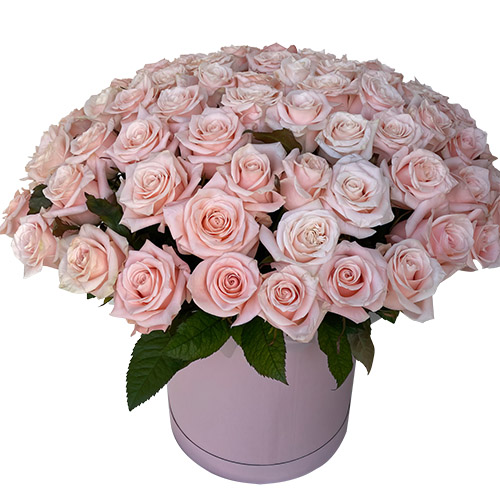 Фото товара 101 розовая роза в коробке в Мариуполе