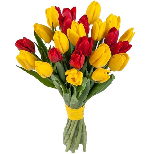 Фото товара 15 красно-жёлтых тюльпанов (с лентой) в Мариуполе