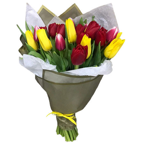 Фото товара 21 красно-жёлтый тюльпан в двойной упаковке в Мариуполе