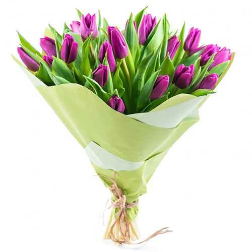 Фото товара 25 пурпурных тюльпанов в Мариуполе