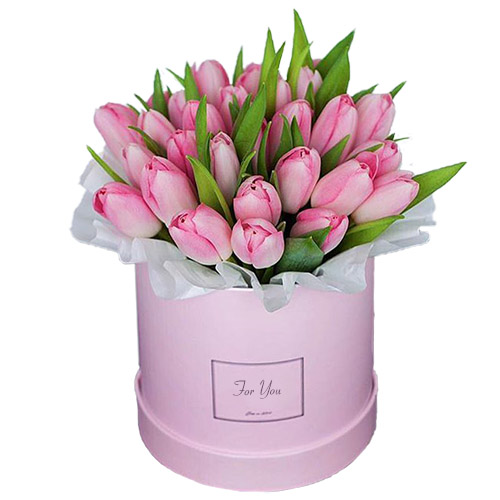 Фото товара 31 нежно-розовый тюльпан в коробке в Мариуполе