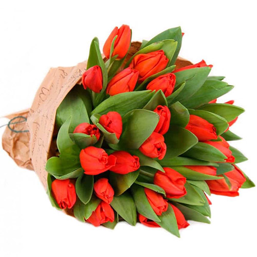 Фото товара 35 красных тюльпанов в "газете" в Мариуполе