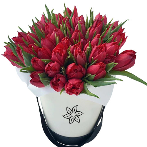 Фото товара 45 алых тюльпанов в коробке в Мариуполе