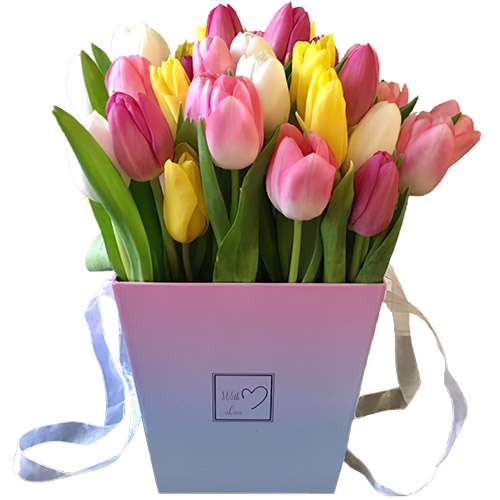 Фото товара 31 тюльпан "Весенний ветер" в квадратной коробке в Мариуполе