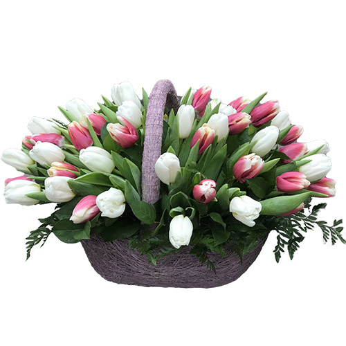 Фото товара 51 бело-розовый тюльпан в корзине в Мариуполе