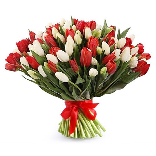 Фото товара 75 красно-белых тюльпанов (с лентой) в Мариуполе