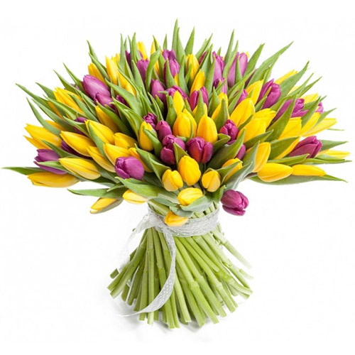 Фото товара 75 фиолетово-жёлтых тюльпанов в Мариуполе