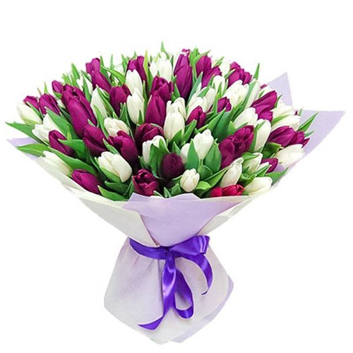 Фото товара 75 пурпурно-белых тюльпанов в Мариуполе