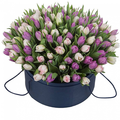 Фото товара 201 тюльпан (два цвета) в коробке в Мариуполе