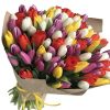 Фото товара 101 пурпурный тюльпан в коробке в Мариуполе