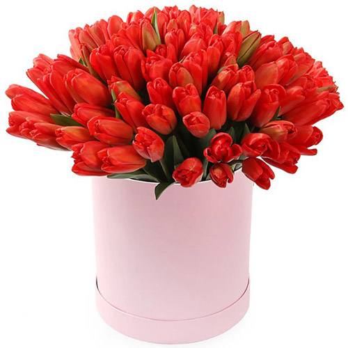 Фото товара 101 красный тюльпан в коробке в Мариуполе